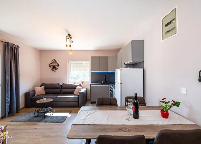 Apartment Drazice