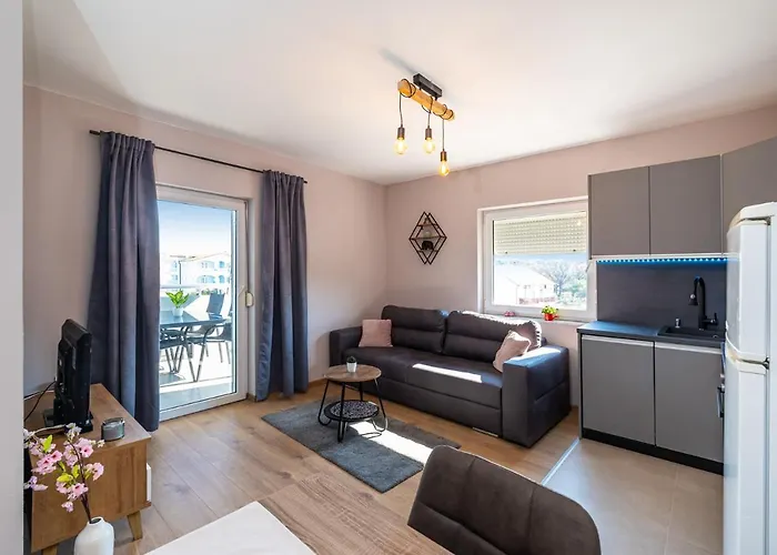 Apartment Drazice