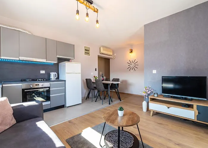 Apartment Drazice